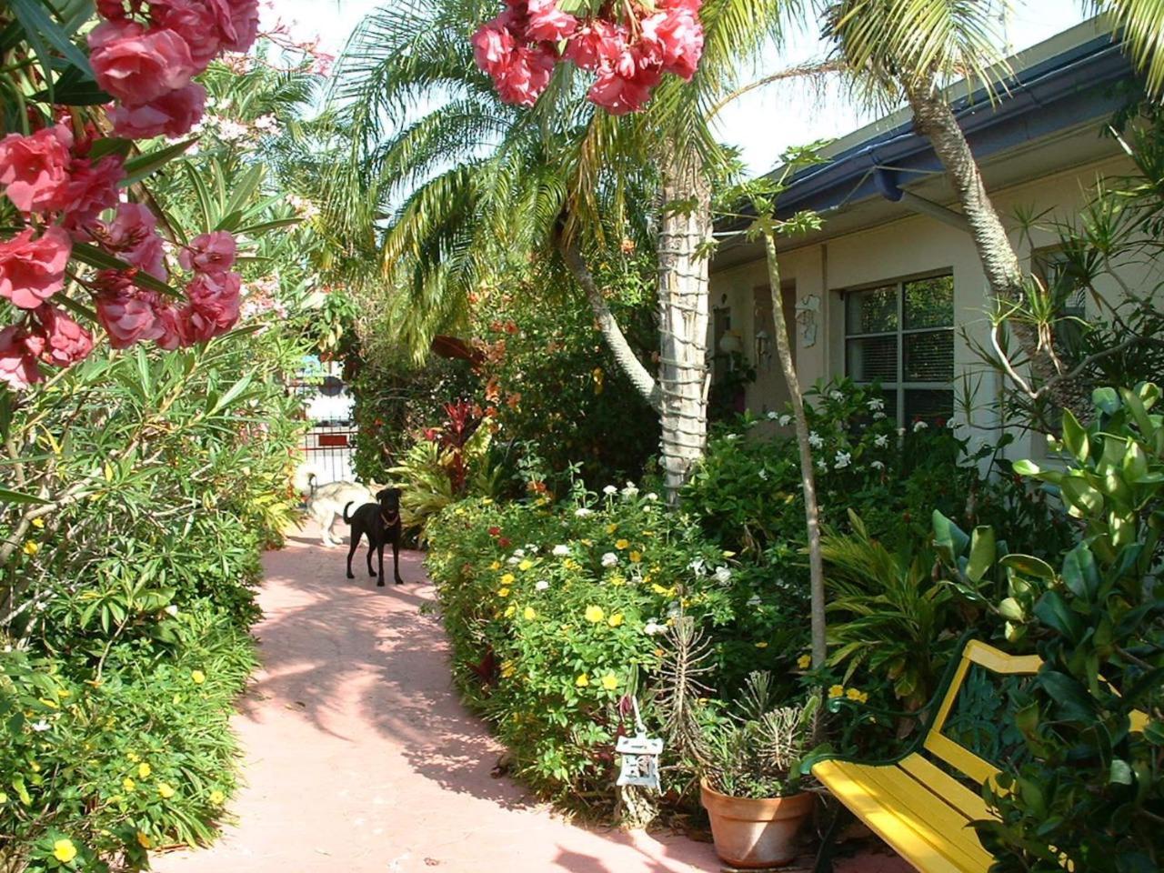 Affordable Beach Condos - One Bedroom Dlx Condos St. Pete Beach Kültér fotó